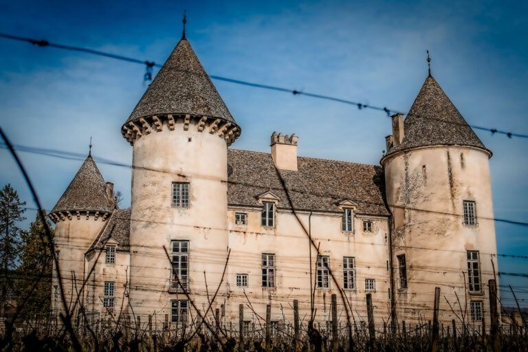 Photographie extérieur du château de Savigny-lès-Beaune en Côte d'Or, photo du patrimoine et du terroir français