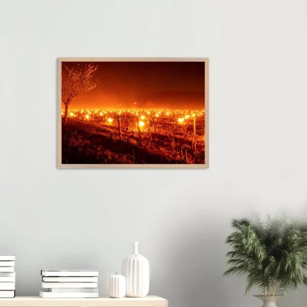 Photo art déco vignes et vins – tirage limitée encadrée en bois – Lumière matinale Photo d\'art déco d\'artiste auteur encadré en bois premium chêne frêne papier épais premium FSC