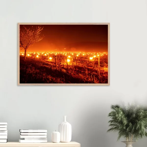 Photo art déco vignes et vins – tirage limitée encadrée en bois – Lumière matinale Photo d\'art déco d\'artiste auteur encadré en bois premium chêne frêne papier épais premium FSC