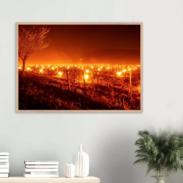 Photo art déco vignes et vins – tirage limitée encadrée en bois – Lumière matinale Photo d\'art déco d\'artiste auteur encadré en bois premium chêne frêne papier épais premium FSC