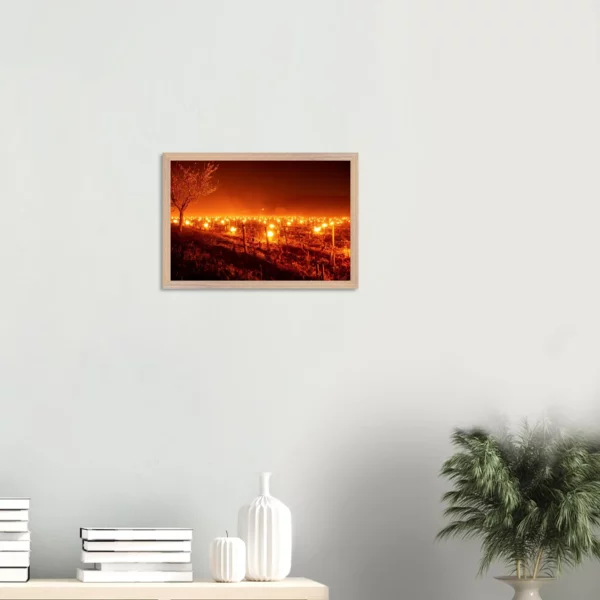Photo art déco vignes et vins – tirage limitée encadrée en bois – Lumière matinale Photo d\'art déco d\'artiste auteur encadré en bois premium chêne frêne papier épais premium FSC