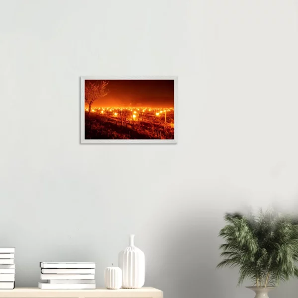 Photo art déco vignes et vins – tirage limitée encadrée en bois – Lumière matinale Photo d\'art déco d\'artiste auteur encadré en bois premium chêne frêne papier épais premium FSC