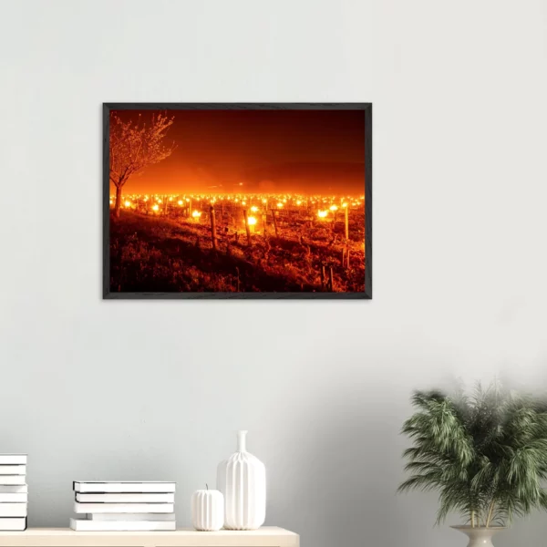 Photo art déco vignes et vins – tirage limitée encadrée en bois – Lumière matinale Photo d\'art déco d\'artiste auteur encadré en bois premium chêne frêne papier épais premium FSC