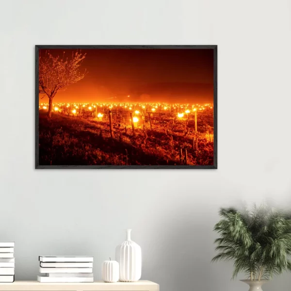 Photo art déco vignes et vins – tirage limitée encadrée en bois – Lumière matinale Photo d\'art déco d\'artiste auteur encadré en bois premium chêne frêne papier épais premium FSC