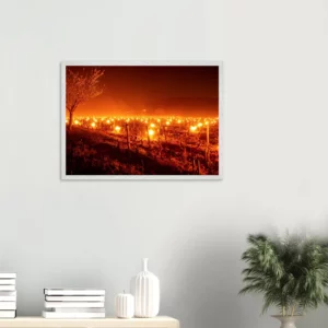 Photo art déco encadrée représentant des vignes avec des bougies anti-gel, tirage limité avec cadre bois chêne blanc.