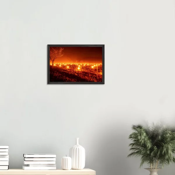 Photo art déco vignes et vins – tirage limitée encadrée en bois – Lumière matinale Photo d\'art déco d\'artiste auteur encadré en bois premium chêne frêne papier épais premium FSC