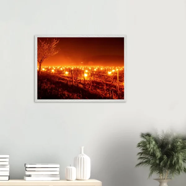Photo art déco vignes et vins – tirage limitée encadrée en bois – Lumière matinale Photo d\'art déco d\'artiste auteur encadré en bois premium chêne frêne papier épais premium FSC