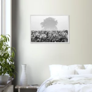 « Derrière la brume » – Photographie Noir et blanc Art déco Premium Photo d\'art déco d\'artiste auteur encadré en bois premium chêne frêne papier épais premium FSC