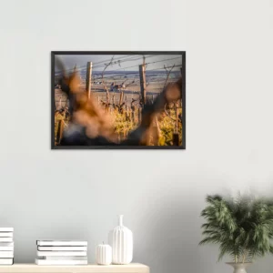 « La Tour » – Photographie premium – Cadre bois éco-responsable Photo d\'art déco d\'artiste auteur encadré en bois premium chêne frêne papier épais premium FSC