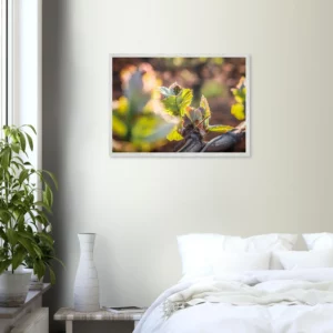 Des petits débuts – Cadre et photo premium art déco Photo d\'art déco d\'artiste auteur encadré en bois premium chêne frêne papier épais premium FSC