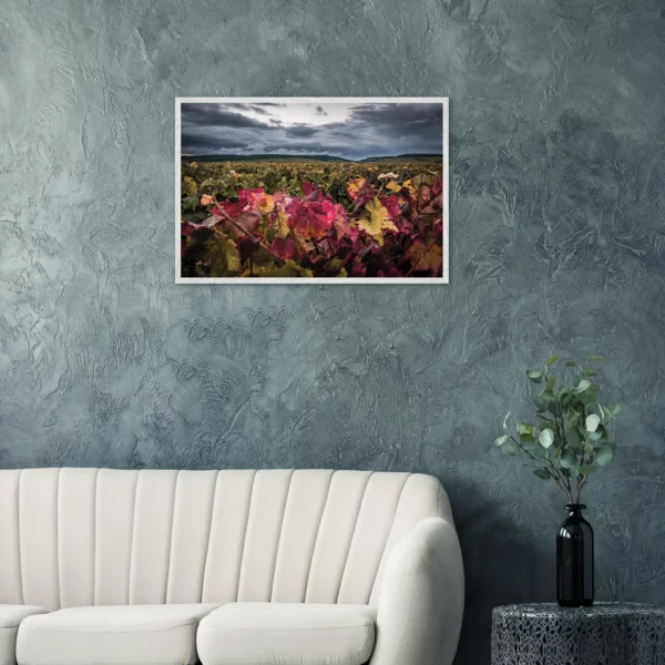 « Les couleurs de l’automne » – Photo Art-déco Vignes – Pièce unique Photo d\'art déco d\'artiste auteur encadré en bois premium chêne frêne papier épais premium FSC