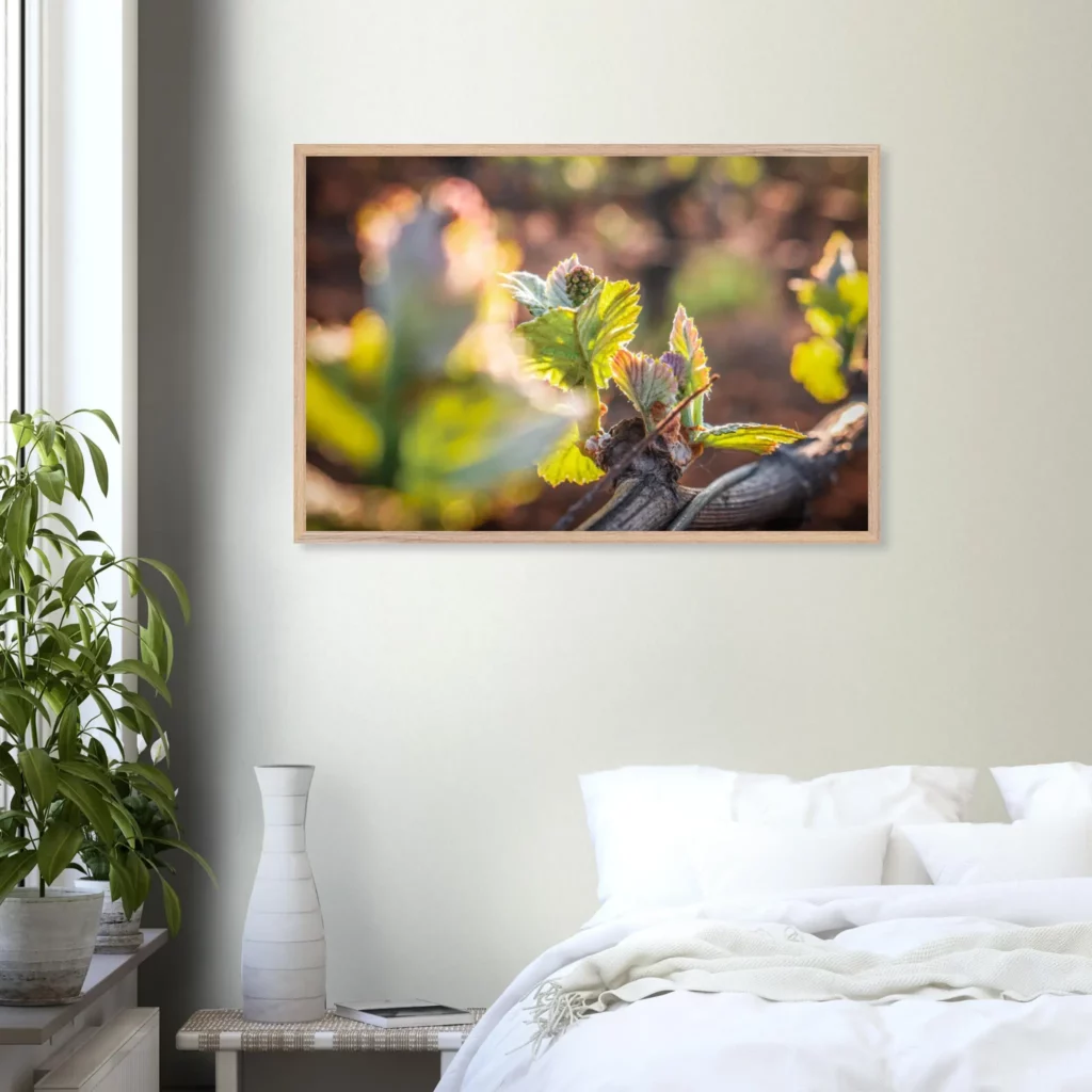 db7dff6b-728c-4d3b-89fd-74783b258700